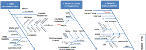 Ishikawa diagram